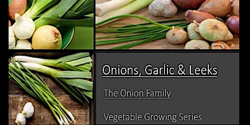 Onions, Garlic & Leeks 101- Growing Vegetable Series primary image
