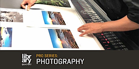 Pro Series: Introduction to Colours in the Digital Era