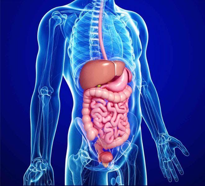 Gastroenterology Regional Trainee and Principal Investigator Event
