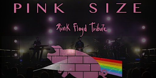 Festa d'estate con i Pink Size - Pink Floyd Tribute Band