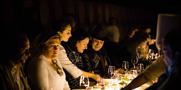 Rioja Alavesa Unique Experience Part 2 (Baños de Ebro & Samaniego)