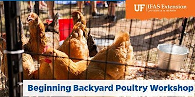 Primaire afbeelding van 2024 Beginners Backyard Poultry Workshop - Gadsden County