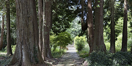 Guided Tree Tour of The Italian Garden