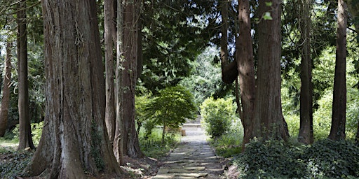 Hauptbild für Guided Tree Tour of The Italian Garden