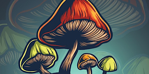 Imagem principal de Marvellous Mushrooms: The Science of Fungi with Dr Sam Gandy