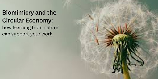 Biomimicry and the Circular Economy primary image