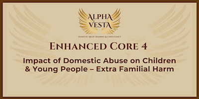 Enhanced C4: Impact of Domestic Abuse on Young People Extra-Familial Harm