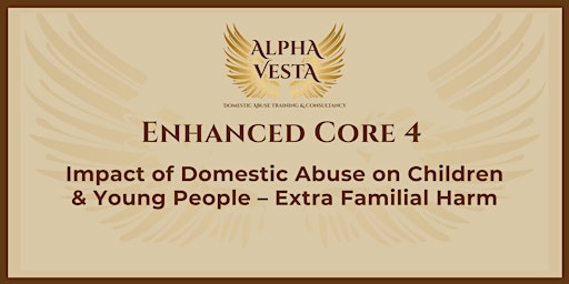 Enhanced C4: Impact of Domestic Abuse on Young People Extra-Familial Harm primary image