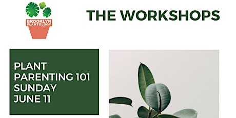 The Workshops: Plant Parenting 101