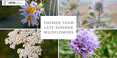 Heritage Week Guided Tour: Late Summer Wildflowers