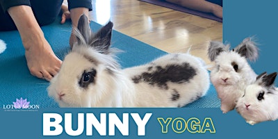 Primaire afbeelding van Bunny Yoga - Hop into Fun with a Cute Yoga Partner