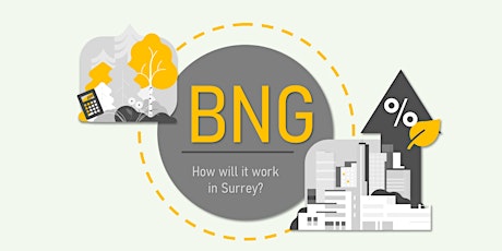 Biodiversity Net Gain (BNG) in Surrey
