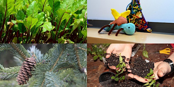 Winter Family Programs at Queens Botanical Garden