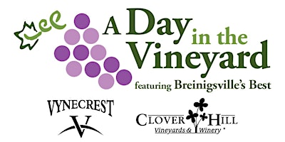 A Day in the Vineyard primary image