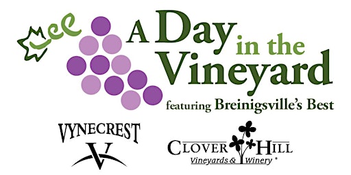 Imagen principal de A Day in the Vineyard