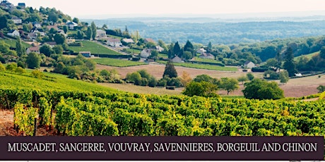 WINECLASS: Loire Valley