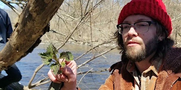 An Introduction to Foraging