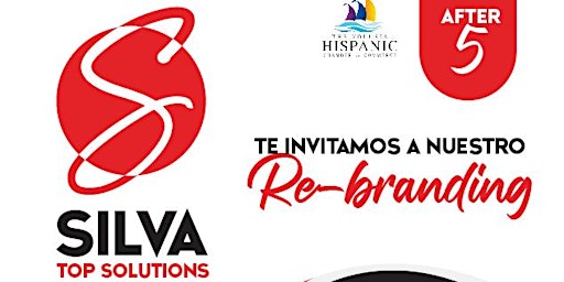 Re-Branding Silva Top Solutions primary image