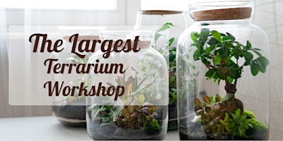 Image principale de Largest Terrarium Workshop