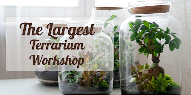 Image principale de Largest Terrarium Workshop