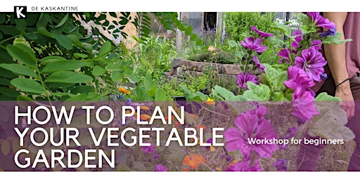 Primaire afbeelding van How to Plan Your Vegetable Garden