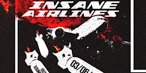 INSANE AIRLINES