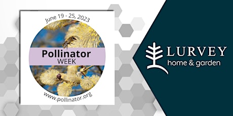 Celebrating National Pollinator Week 2023!