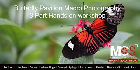 Macro Photography at Butterfly Pavilion - 3 Part workshop