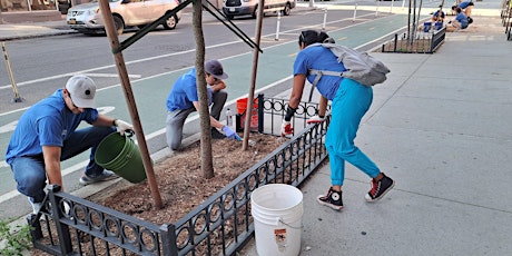 Brooklyn Greenway Initiative Stewardship Event primary image