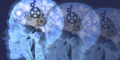 Corso multidisciplinare su patologia Testa-Collo Diagnostica e terapia dei Paragangliomi della testa e del collo Corso multidisciplinare su patologia Testa-Collo Diagnostica e terapia dei Paragangliomi della testa e del collo
