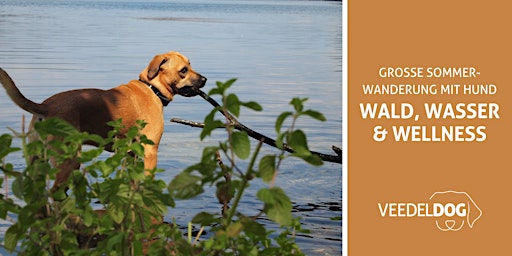 Hauptbild für Veedeldog | Große Sommer-Wanderung mit Hund: Wald, Wasser & Wellness
