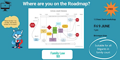 Family Law 101 ROADMAP - your must-know guide to the family court system