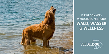 Veedeldog | Kleine Sommer-Wanderung mit Hund: Wald, Wasser & Wellness