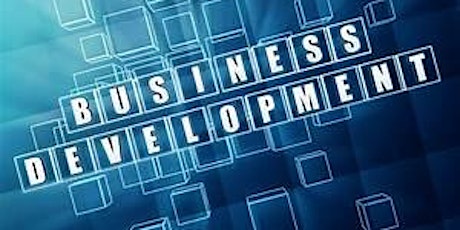 Business Development Information Session via Webinar primary image