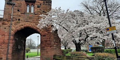 Guided Walk around Coventry City Walls primary image