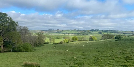 Combe Valley 10k Guided Trail Run primary image