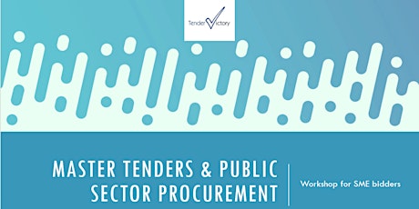 Master tenders and public sector procurement - workshop for SMEs