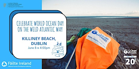 Beach Clean at Killiney Beach for World Ocean Day with Clean Coasts!