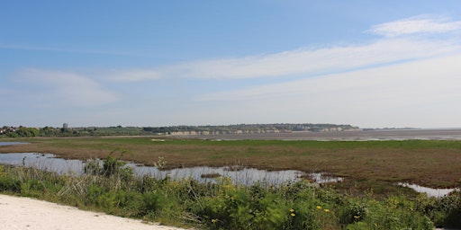 Accessible Nature Walk at Pegwell Bay Country Park  primärbild