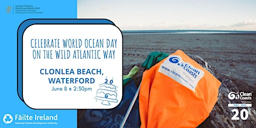 Beach Clean at Clonlea Beach for World Ocean Day with Clean Coasts!