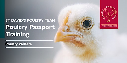 Imagen principal de Poultry Passport Training: Poultry Welfare