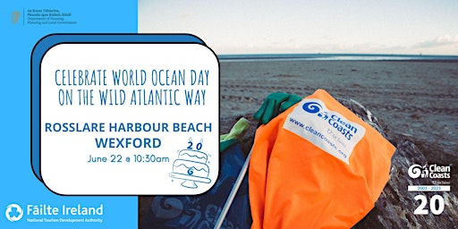 Beach Clean at Rosslare Harbour for World Ocean Day with Clean Coasts! primary image