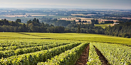 Joseph Drouhin - Burgundy vs. Oregon Masterclass  primary image