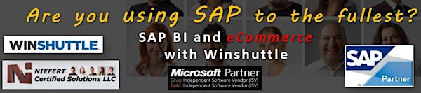 SAP BI and eCommerce with Winshuttle