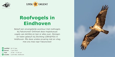 Falconcrest Eindhoven