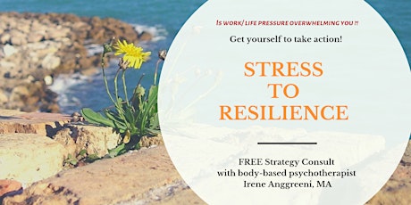 Stress-to-Resilience Strategy Consult - Office Hours at Venture Café primary image