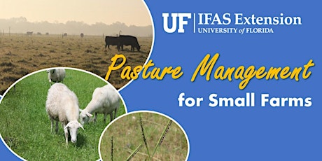 Pasture Management for Small Farms