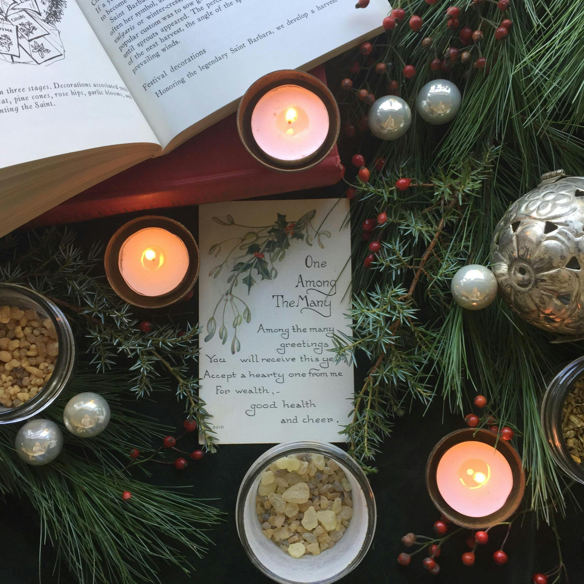 Herbs For Winter Solstice And Yule Magic 6 Dec 2018