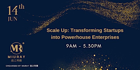 Scale up: Transforming Startups into Powerhouse Enterprises (Chinese)