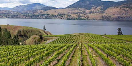 VINcabulary : Tasting our Backyard - the wines of BC